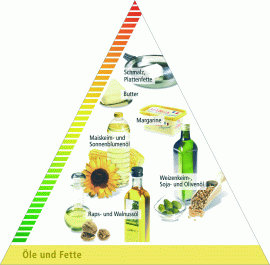 Lebensmittelpyramide: Seite mit Ölen und Fetten