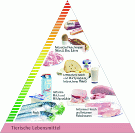 Lebensmittelpyramide: Seite mit tierischen Lebensmitteln